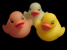 Rubber Duckys